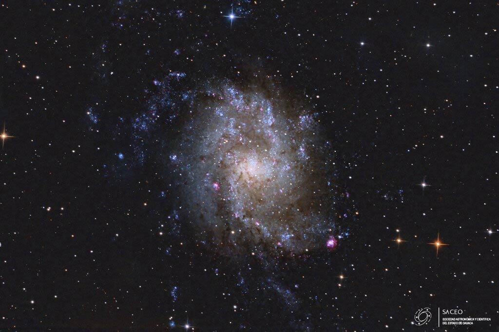 M33